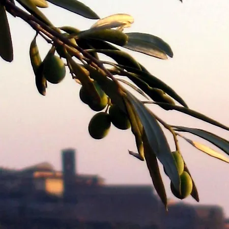 San Martino A Bocena 3*